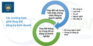 Hồ sơ, thủ tục, quy trình thay đổi giấy phép kinh doanh cho công ty TNHH 2 thành viên